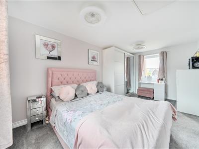 Picture 12